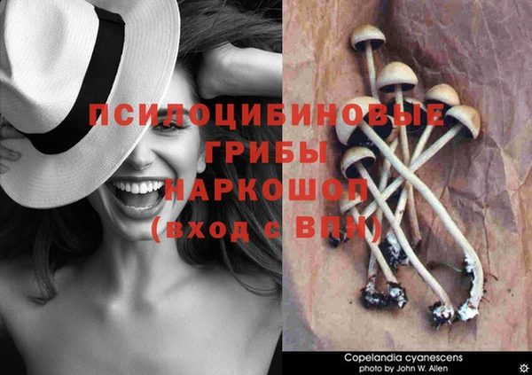 шишки Бронницы