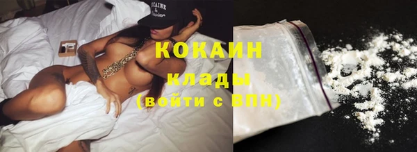 шишки Бронницы