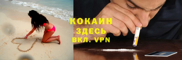 шишки Бронницы