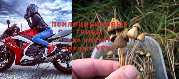 бутират Сатка