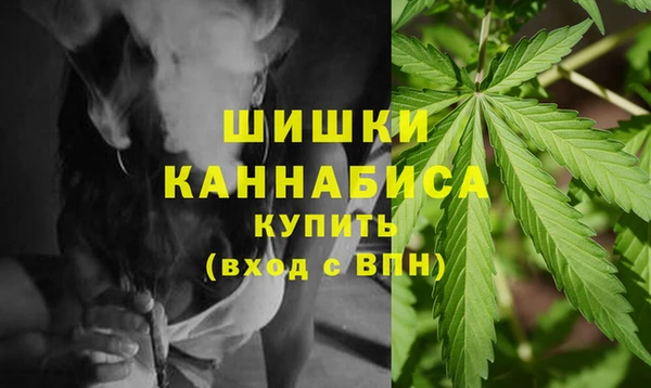 дмт Белокуриха